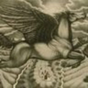 Meet your Posher, Carley